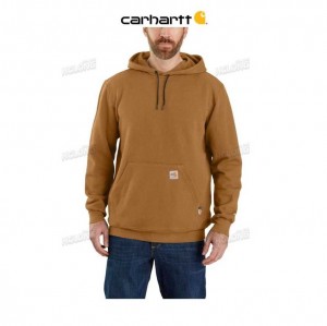 Carhartt Flame-Resistant Force Loose Fit Midweight Hooded Sweatshirt Brown | TH0000012