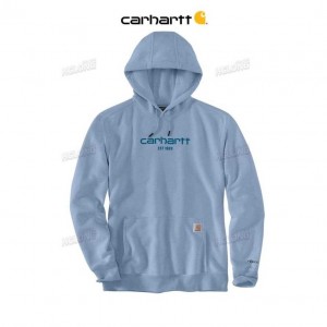 Carhartt Force Relaxed Fit Lightweight Logo Graphic Sweatshirt Alpine Blue Heather | TH0000485