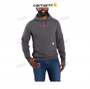 Carhartt Force Relaxed Fit Lightweight Logo Graphic Sweatshirt Carbon Heather | TH0000488