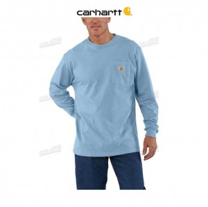 Carhartt Loose Fit Heavyweight Long-Sleeve Pocket T-Shirt Alpine Blue Heather | TH0002541