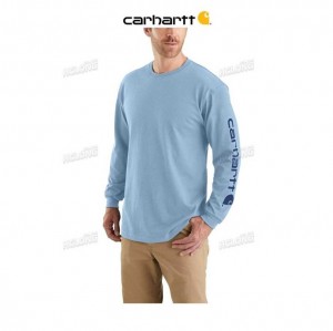 Carhartt Loose Fit Heavyweight Long-Sleeve Logo Sleeve Graphic T-Shirt Alpine Blue Heather | TH0002565