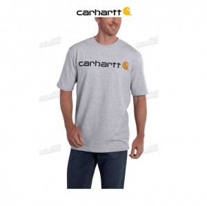 Carhartt Loose Fit Heavyweight Short-Sleeve Logo Graphic T-Shirt Heather Gray | TH0002557