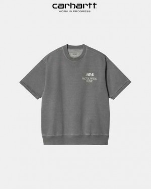 Carhartt New Balance x Carhartt WIP Sculpture Center Short Sleeve Sweatshirt Shiver / Wax | TH0000362