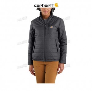 Carhartt Rain Defender Relaxed Fit Lightweight Insulated Jacket - 2 Warmer Rating Shadow | TH0000175