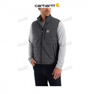 Carhartt Rain Defender Relaxed Fit Lightweight Insulated Vest Shadow | TH0002716