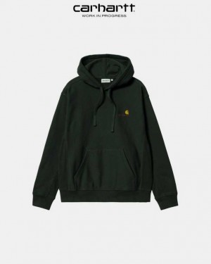 Carhartt Wip Hooded American Script Sweatshirt Dark Cedar | TH0000283