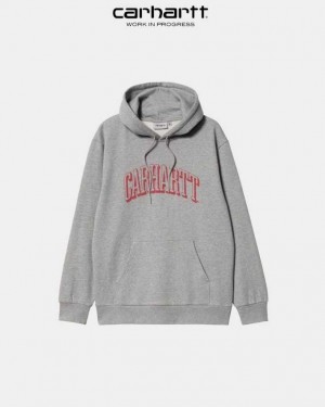 Carhartt Wip Hooded Scrawl Sweatshirt Grey Heather | TH0000326