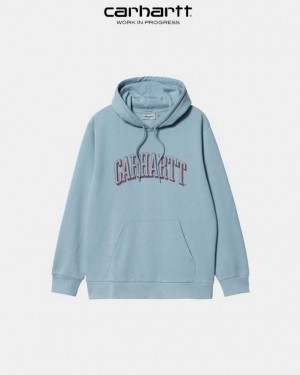 Carhartt Wip Hooded Scrawl Sweatshirt Misty Sky | TH0000328