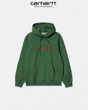 Carhartt Wip Hooded Sweatshirt Bonsai | TH0000290