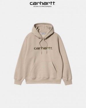 Carhartt Wip Hooded Sweatshirt Wall / Cypress | TH0000289