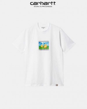 Carhartt Wip Sound Experience T-Shirt White | TH0002342