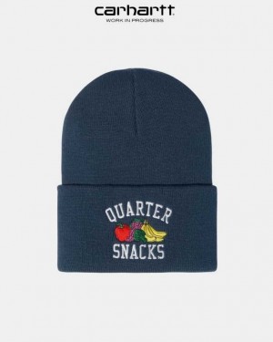 Carhartt Wip x Quartersnacks Watch Hat Blue | TH0001194