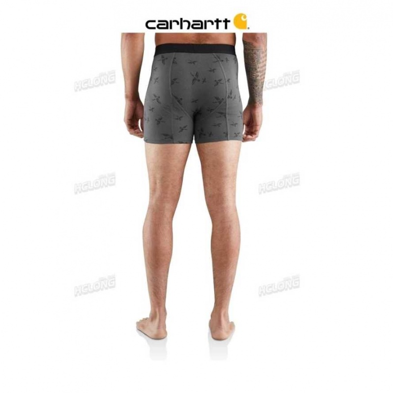 Carhartt 5 Basic Boxer Brief Printed 2-Pack SUPER DUX | TH0001347