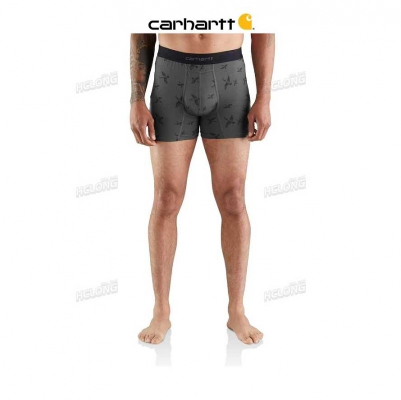 Carhartt 5 Basic Boxer Brief Printed 2-Pack SUPER DUX | TH0001347