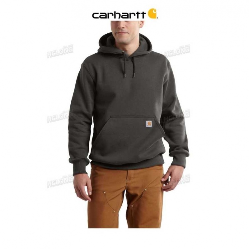 Carhartt Rain Defender Loose Fit Heavyweight Sweatshirt Peat | TH0000391