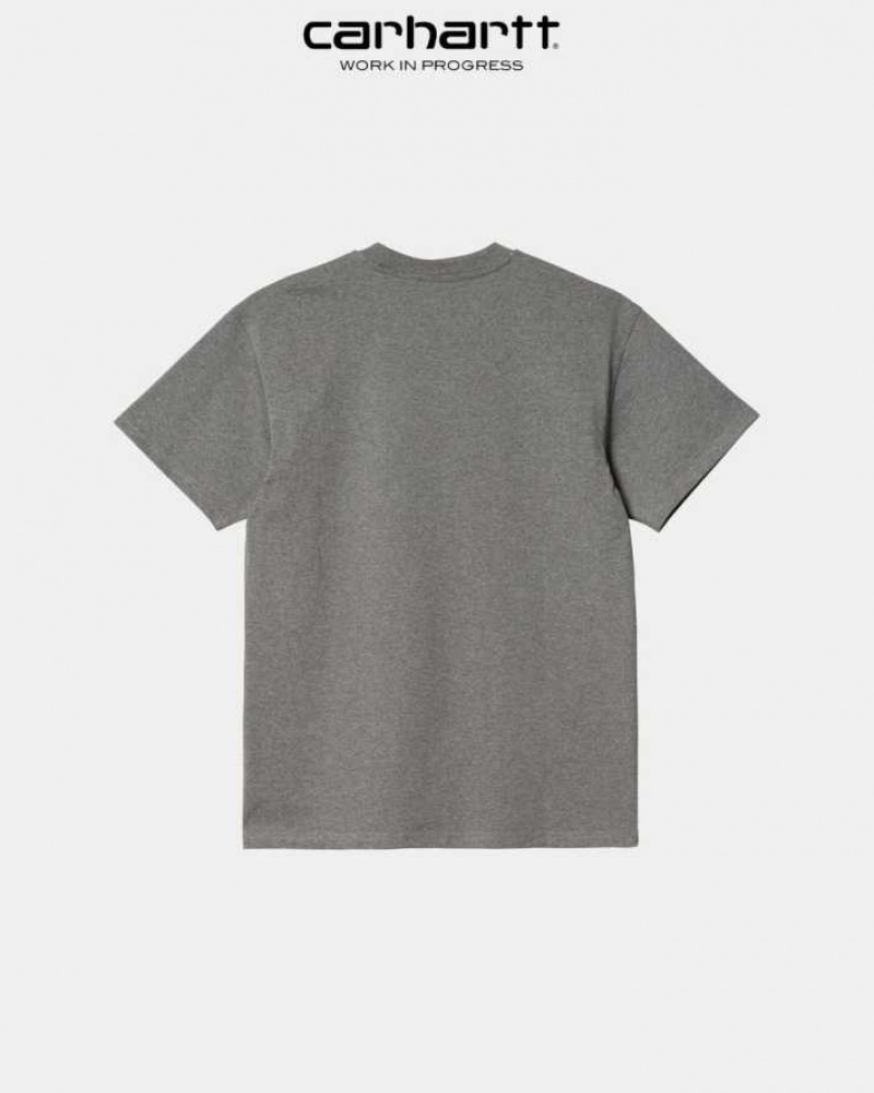 Carhartt Wip American Script T-Shirt Dark Grey Heather | TH0002095