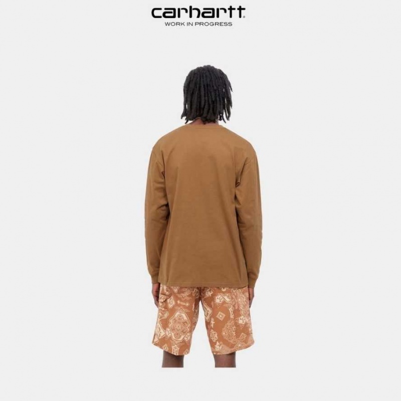 Carhartt Wip Chase Long Sleeve T-Shirt Hamilton Brown | TH0002144