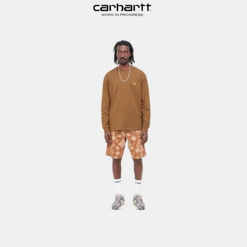 Carhartt Wip Chase Long Sleeve T-Shirt Hamilton Brown | TH0002144