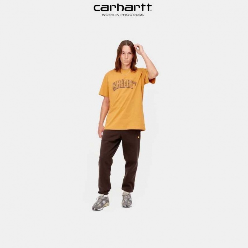 Carhartt Wip Chase Sweat Pant Dark Umber | TH0001385