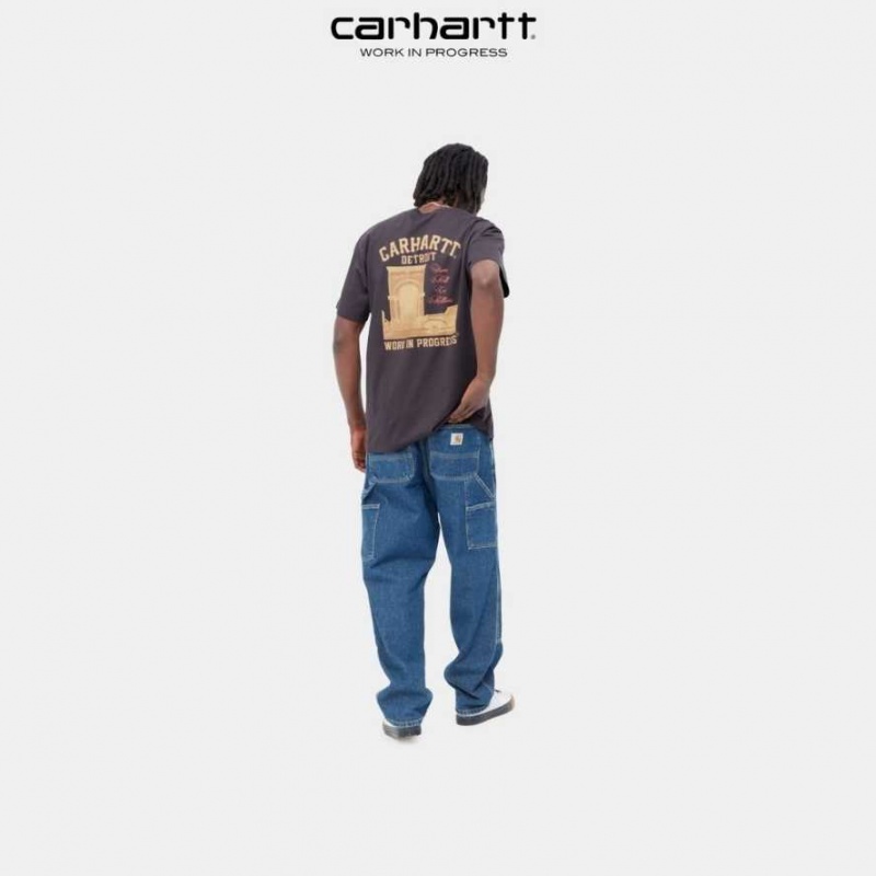 Carhartt Wip Entrance T-Shirt Artichoke | TH0002195