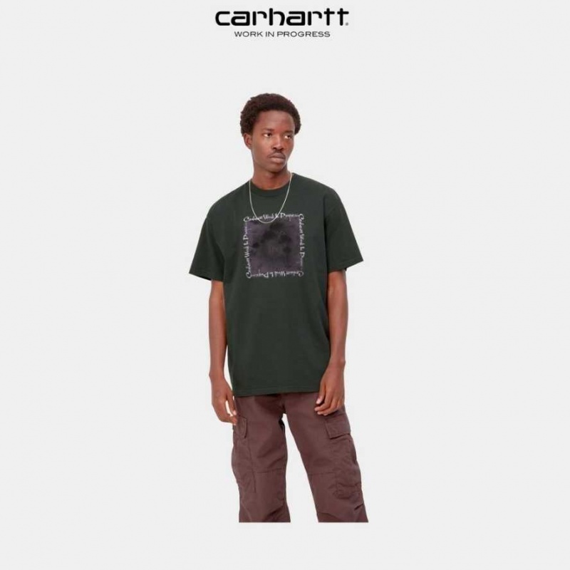 Carhartt Wip Hallucinogen T-Shirt Boxwood | TH0002207