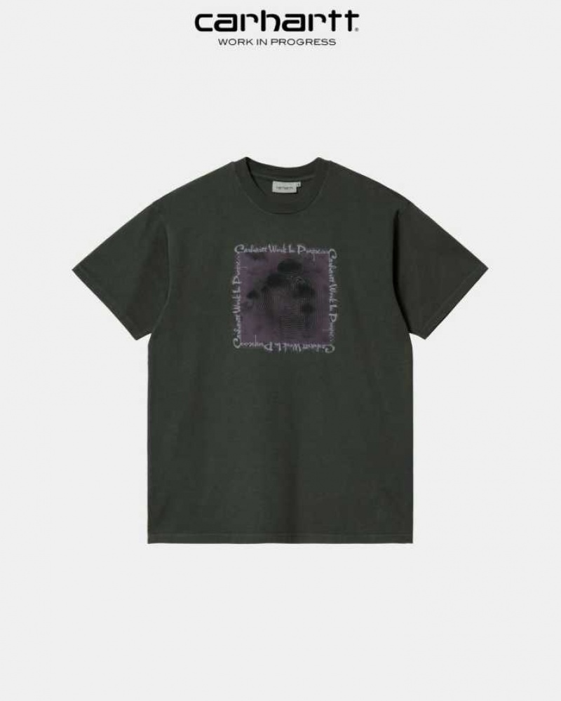 Carhartt Wip Hallucinogen T-Shirt Boxwood | TH0002207