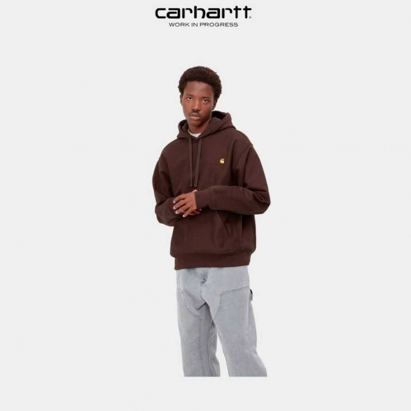 Carhartt Wip Hooded American Script Sweatshirt Ale | TH0000282