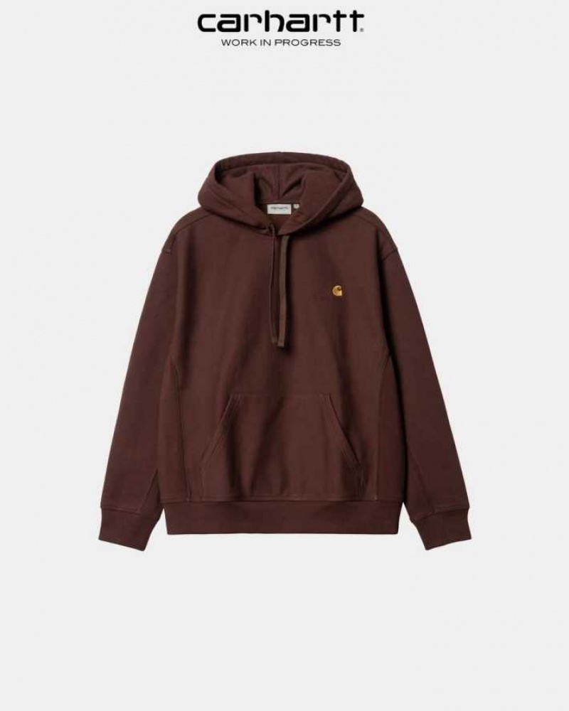 Carhartt Wip Hooded American Script Sweatshirt Ale | TH0000282