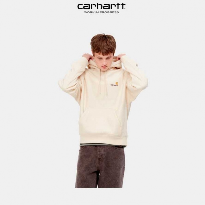 Carhartt Wip Hooded American Script Sweatshirt Calico | TH0000284