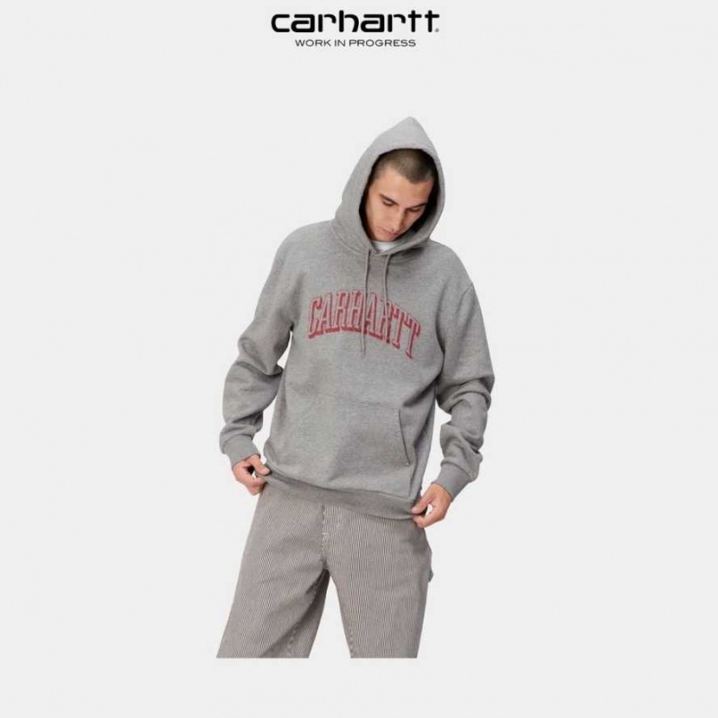 Carhartt Wip Hooded Scrawl Sweatshirt Grey Heather | TH0000326