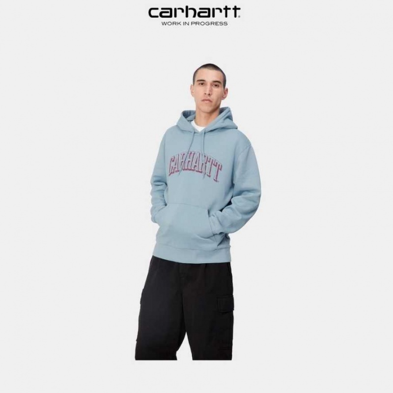 Carhartt Wip Hooded Scrawl Sweatshirt Misty Sky | TH0000328