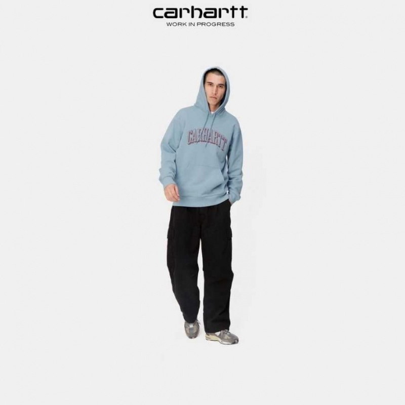 Carhartt Wip Hooded Scrawl Sweatshirt Misty Sky | TH0000328