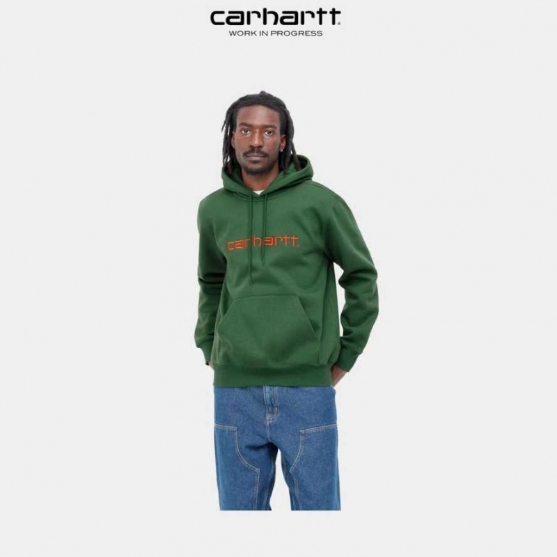 Carhartt Wip Hooded Sweatshirt Bonsai | TH0000290