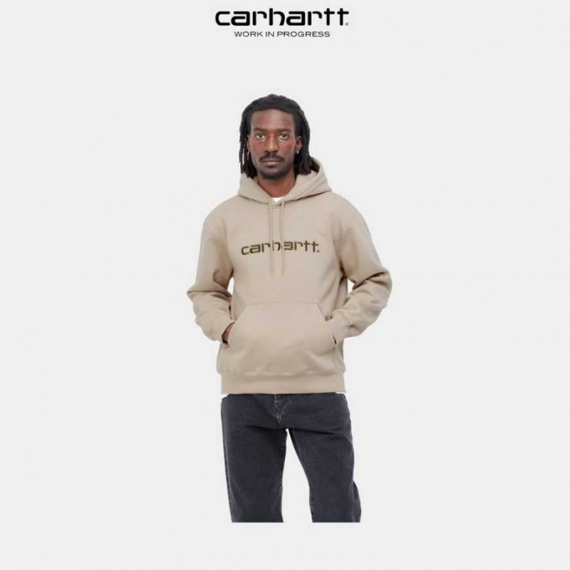 Carhartt Wip Hooded Sweatshirt Wall / Cypress | TH0000289