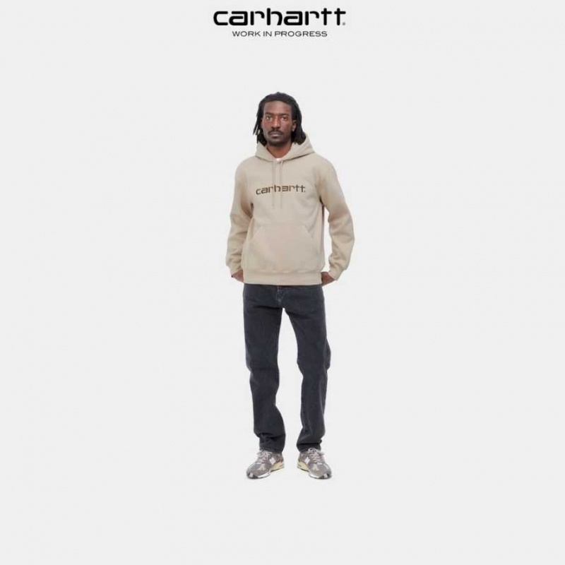 Carhartt Wip Hooded Sweatshirt Wall / Cypress | TH0000289