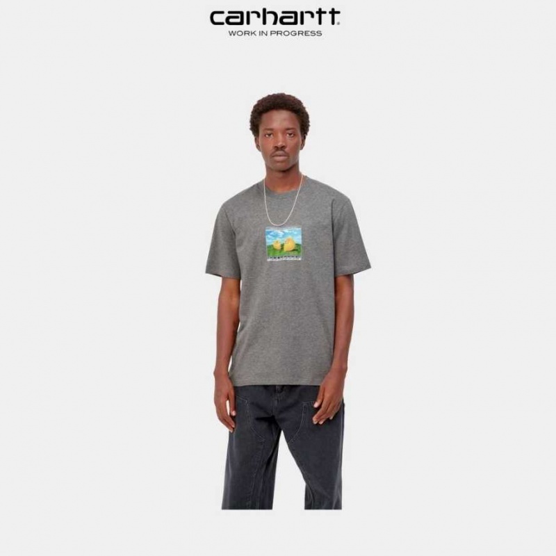 Carhartt Wip Sound Experience T-Shirt Dark Grey Heather | TH0002340